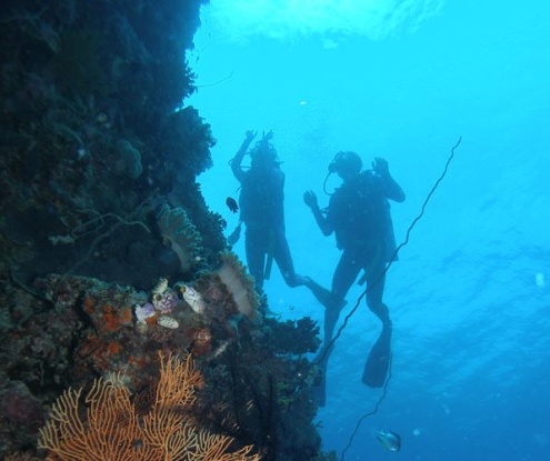 Introductory Diving with Passions of Paradise