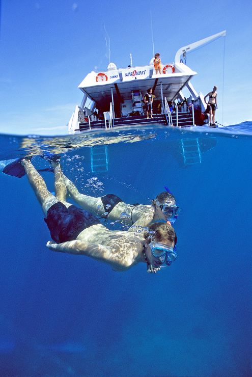 Snorkelling aboard SeaQuest