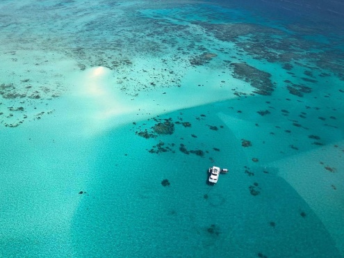 Cruise to 2 Unique Great Barrier Reef Sites