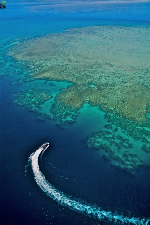 Ocean Freedom at the Great Barrie Reef