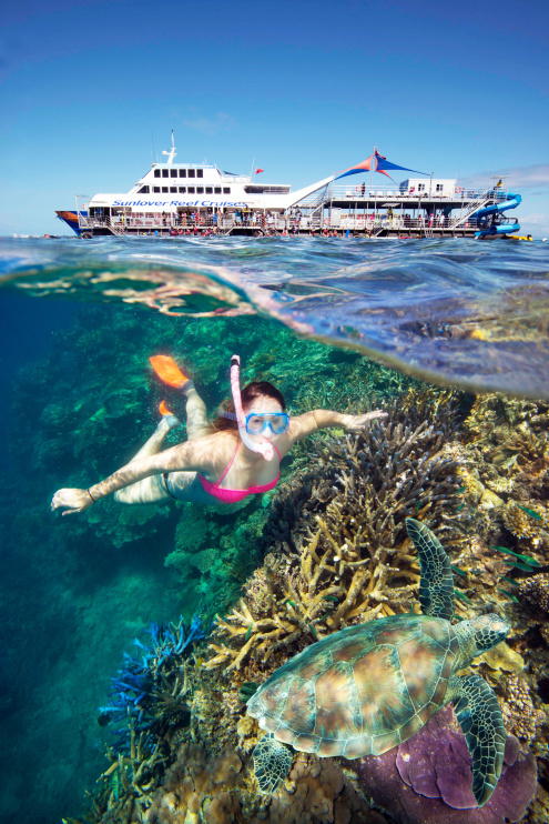 Snorkelling on the Great Barrier Reef