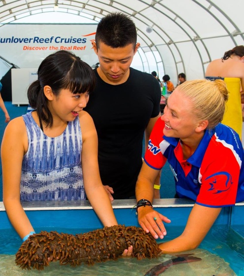 Touch Tank Presentation