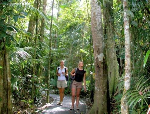 Jumrum Creek Walk kuranda