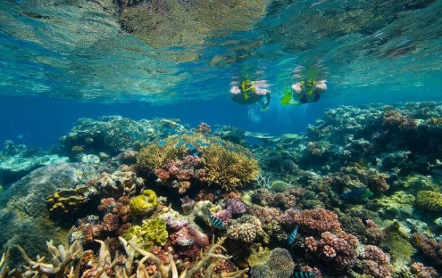 Adventure Cairns, Who we are?