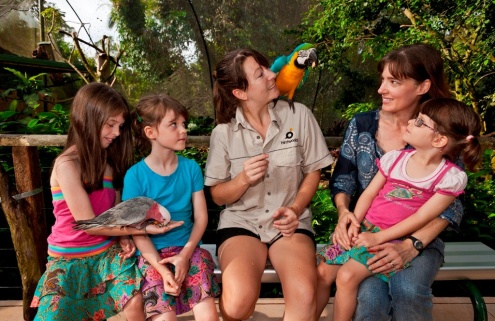 Bus to Birdworld Kuranda