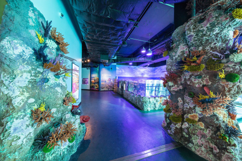 Cairns Aquarium Event times