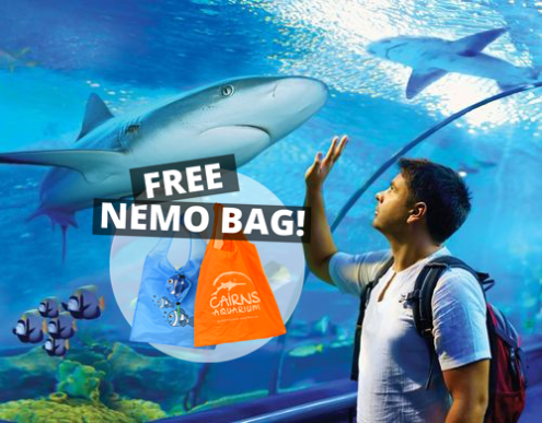 Cairns Aquarium