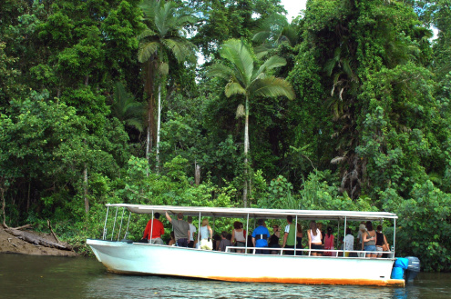 CAPE TRIBULATION, DAINTREE & WILDLIFE