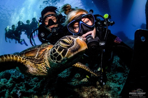 Scuba Diving on Evolution Great Barrier Reef Tour