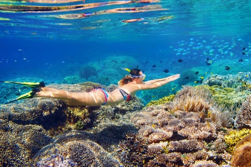 Snorkelling with ReefQuest
