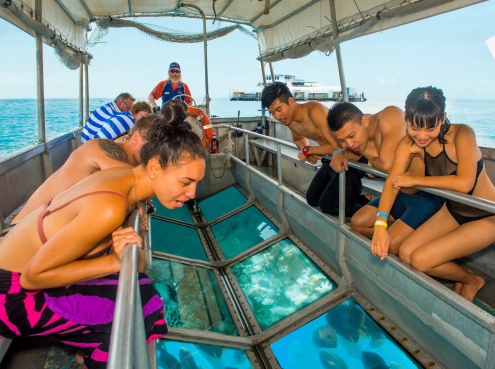 Glass Bottom Boat Experience