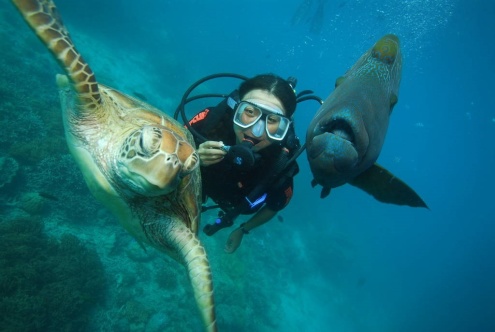 Introductory SCUBA Diving
