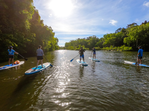 Kuranda Rainforest Paddleboarding Half Day Tour