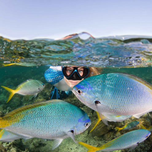 Outer Great Barrier Reef Snorkeling