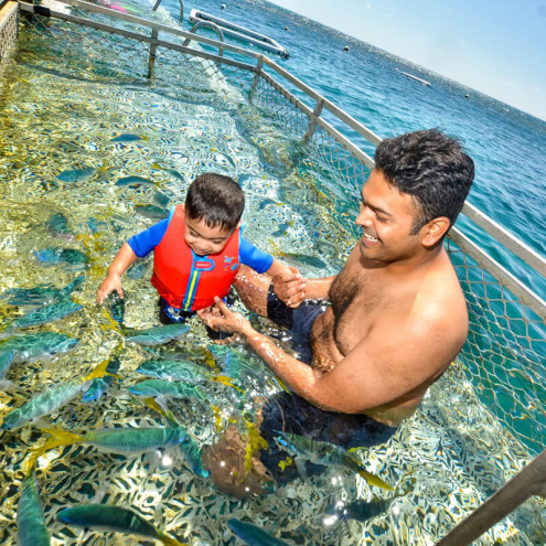 Ocean enclosed children's Pool