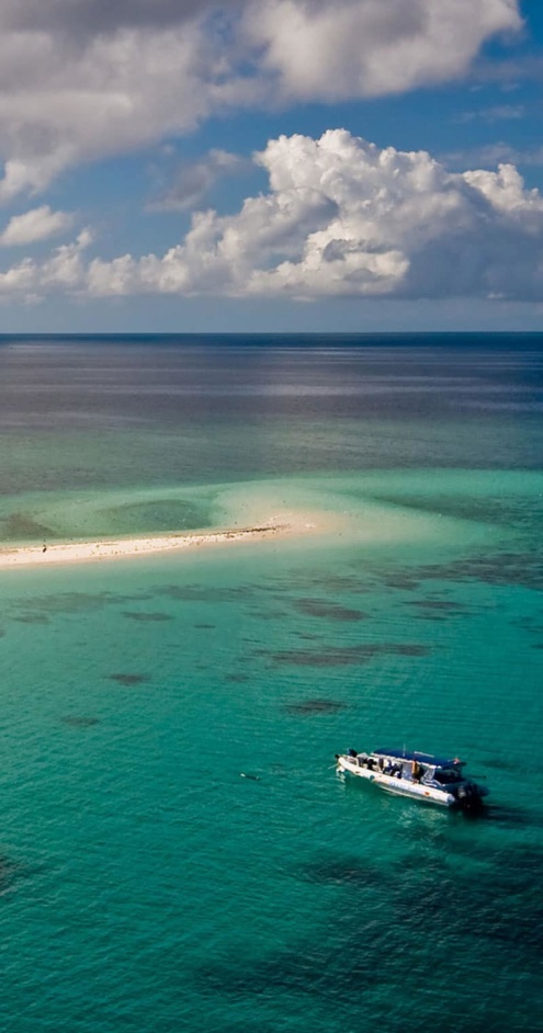 RAINFOREST MEETS THE REEF PACKAGE