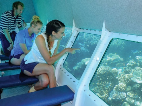 Semi-submersible Coral Reef Viewing Tour