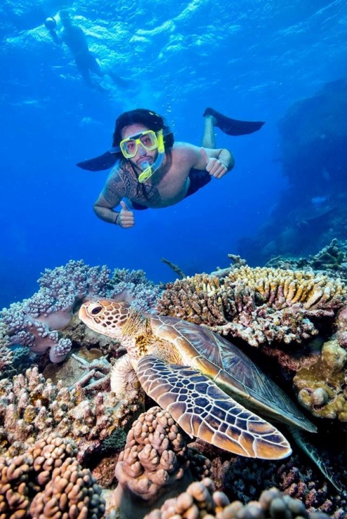 Evolution Snorkelling Tour from Cairns