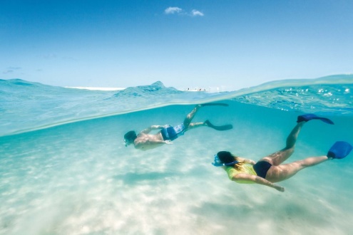 Snorkelling at Michaelmas Cay