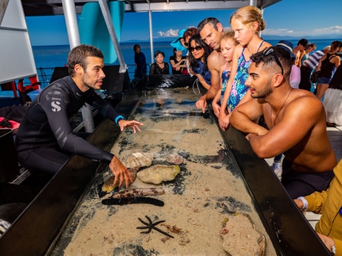 Sunlover Marine Life Touch Tank