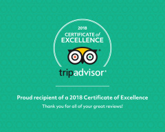 Certificate of Excellence