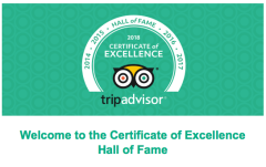 Thank you to everyone who has taken the time to review us on TA
