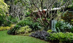 Cairns just had the most amazing