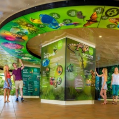Minibeasts Wildlife, International cuisine & discover rainforest milestones