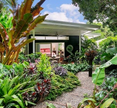 The recent Wet Season in Cairns has given the garden at TABU B&B a nice lift.