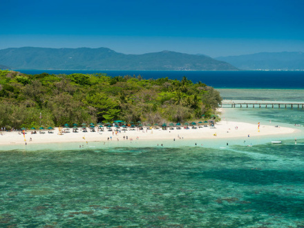 Cairns Reef Half Day Tours