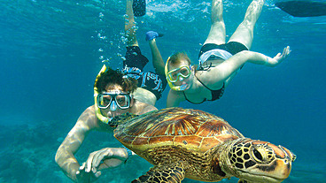 7 Night Indulgence Package