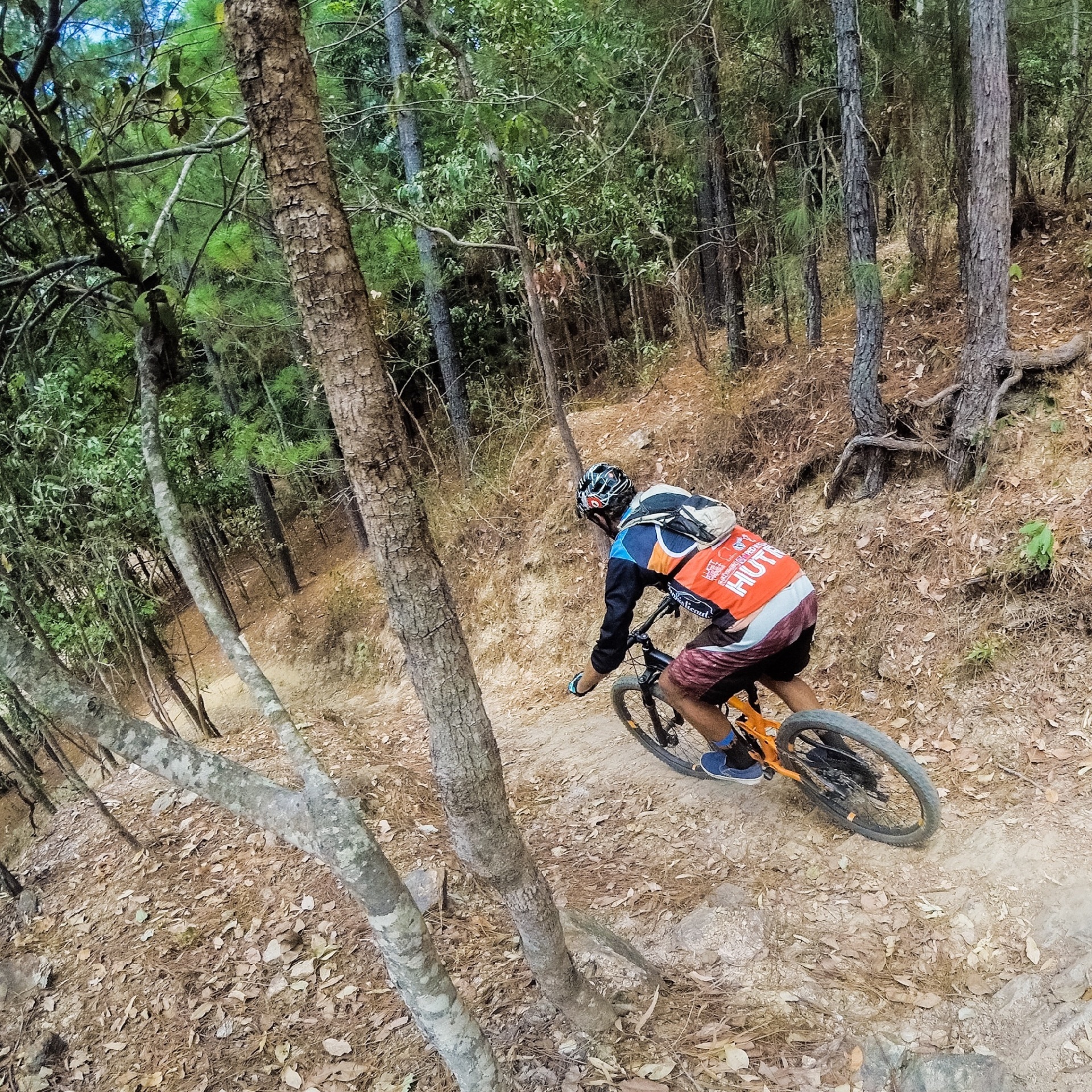 Cairns Mountain Bike Tours & Hire Cairns Tourism Town Find & book