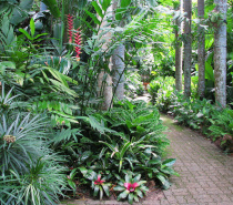 Flecker Botanic Gardens Cairns
