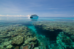 Pro Dive Cairns