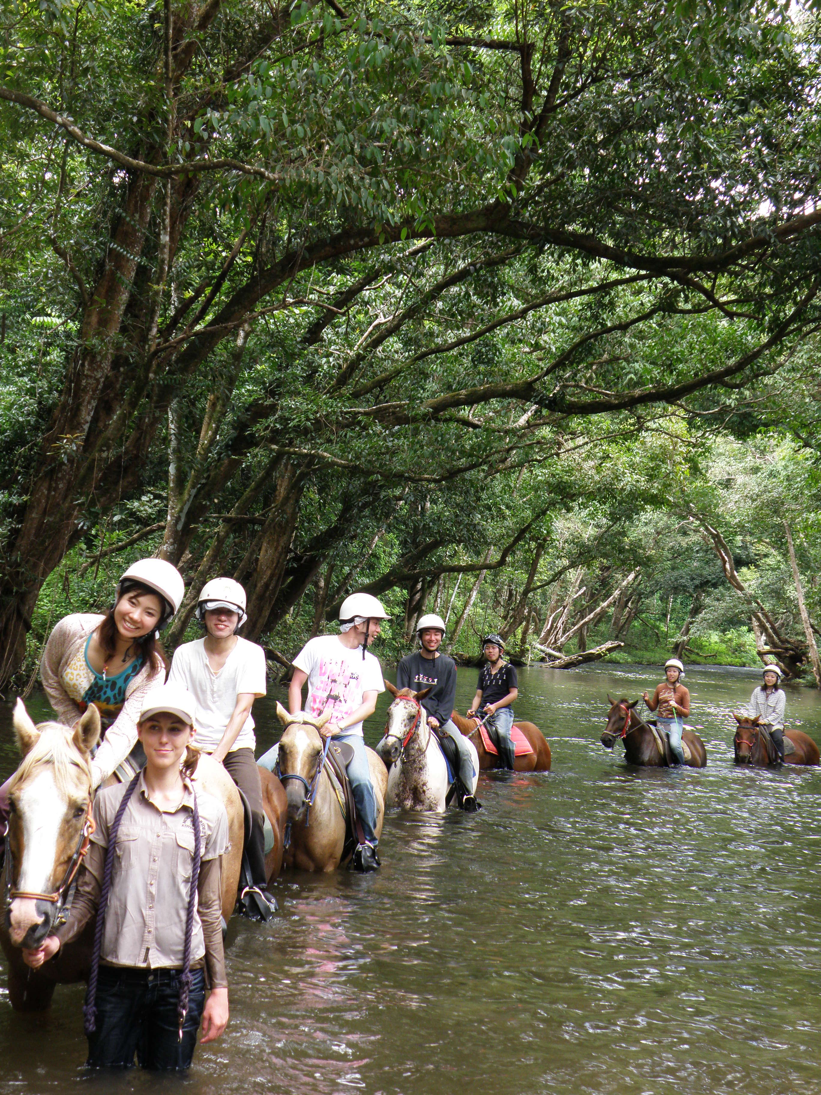 MountnRide Adventures Cairns Tourism Town Find & book authentic experiences in Cairns