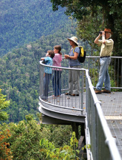 Mamu Rainforest Canopy Walkway