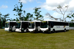 Trans North Bus & Coach Service