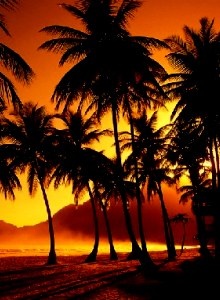 Australian Wilderness Tours