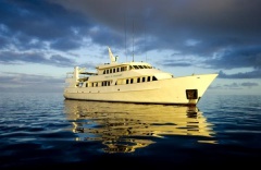 Spirit Of Freedom