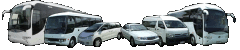 International Coaches & Tours