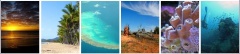 Aussie Airways
