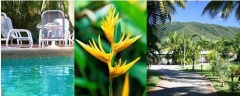 Clifton Palms