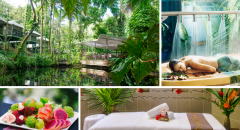 Daintree Eco Lodge & Spa