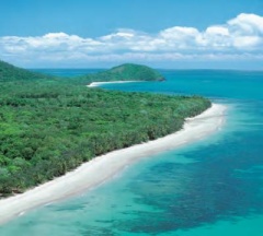 Reef & Rainforest Connections