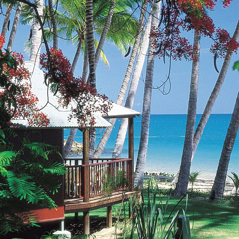 Ellis Beach Oceanfront Bungalows Cairns Tourism Town Find & book authentic experiences in