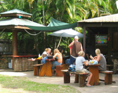 Dougies Backpackers