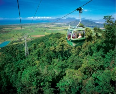 Skyrail Rainforest Cableway