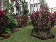 Palms at Trinity