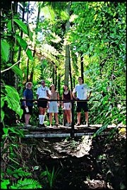 Cairns Discovery Tours