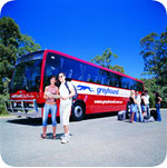 Greyhound Australia